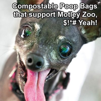 Βιοδιασπάσιμο poo doggie προϊόντων το 2020 κατοικίδιων ζώων επίστεγων ανακυκλωμένο το τσάντα 9x13 τοποθετεί την τσάντα επίστεγων σκυλιών μυρωδιάς σε σάκκο